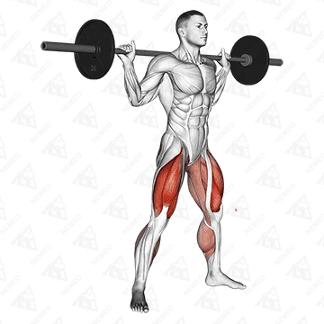 Animated demonstration of Sumo squat