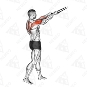 Animated demonstration of band standing rear delt row