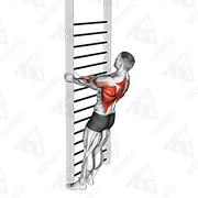 Animated demonstration of bodyweight standing close-grip row