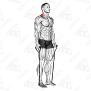 Animated demonstration of band shrug