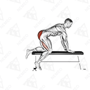Animated demonstration of bench hip extension