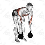 Dimostrazione animata di Rematore a due braccia con kettlebell
