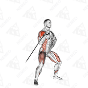 Animated demonstration of band twisting overhead press