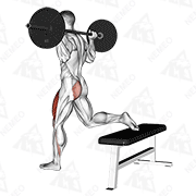 Animated demonstration of barbell one leg squat