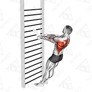Animated demonstration of bodyweight standing row (with towel)