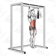 Animated demonstration of arm slingers hanging bent knee legs