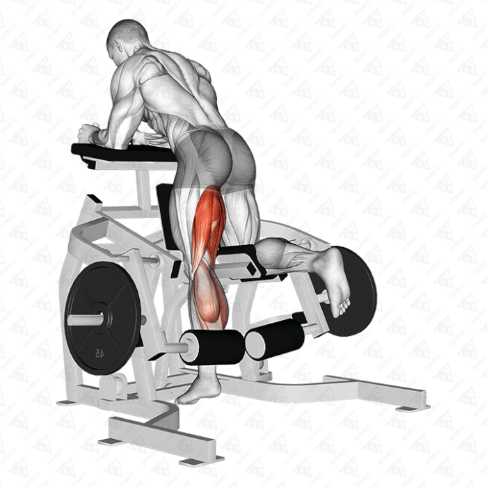 Demostración animada de Curl de piernas unilateral de pie en máquina