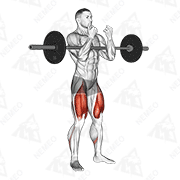 Animated demonstration of barbell full zercher squat