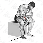 Animated demonstration of band wrist curl