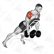 Animated demonstration of dumbbell incline rear lateral raise