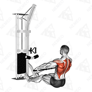 Demostración animada de Amplio pulldown sentado con polea.