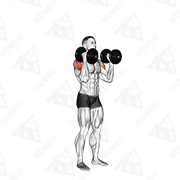 Démonstration animée de l’exercice Développé Arnold avec haltères debout