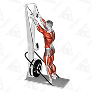 Animated demonstration of ski ergometer