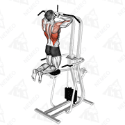 Animated demonstration of assisted parallel close grip pull-up