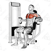 Animated demonstration of machine inner chest press