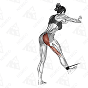 Animated demonstration of band bent-over hip extension