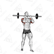Animated demonstration of barbell standing close grip military press