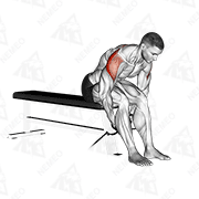 Animated demonstration of cable seated rear lateral raise