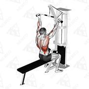 Animated demonstration of cable underhand pulldown