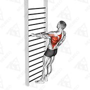 Animated demonstration of bodyweight standing one arm row