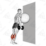 Animated demonstration of exercise ball on the wall calf raise