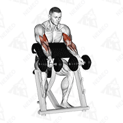 Animated demonstration of dumbbell zottman preacher curl