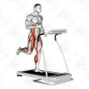 Démonstration animée de l’exercice course (sur tapis)