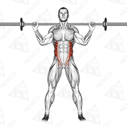 Animated demonstration of barbell standing twist