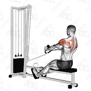 Animated demonstration of cable rear delt row (stirrups)