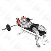 Animated demonstration of barbell lying back of the head tricep extension