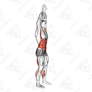 Démonstration animée de l’exercice Flexion avant avec mains croisées