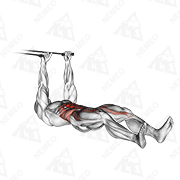 Animated demonstration of band push sit-up